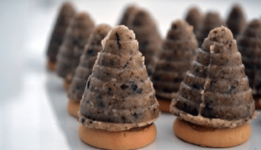 Coconut wasp nests