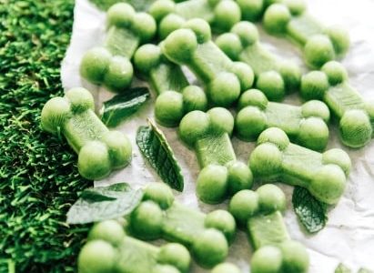 Green dog candy in the shape of cubes with spinach and mint