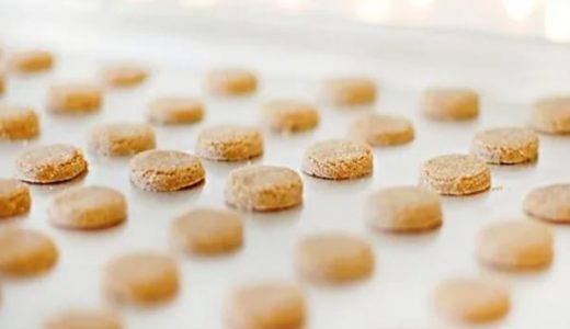 Christmas candy for dogs
